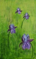 Iris - Tableau de Nadine Perraudat réalisé en peinture acrylique - 25cm x 40cm