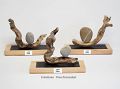 Trophées THE LIVING WITH RIVERS - Sculptures galet bois et flotté